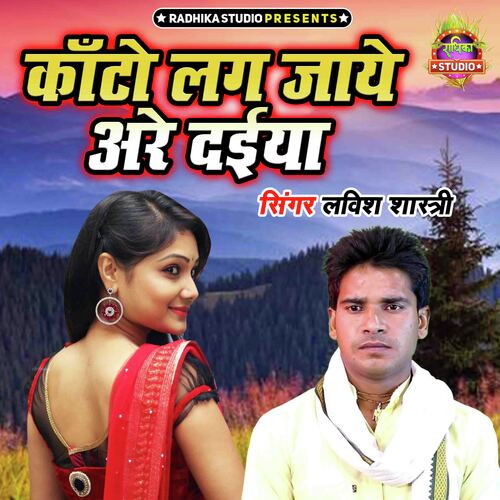 Raja Kahe Laye Chamkanai Saree