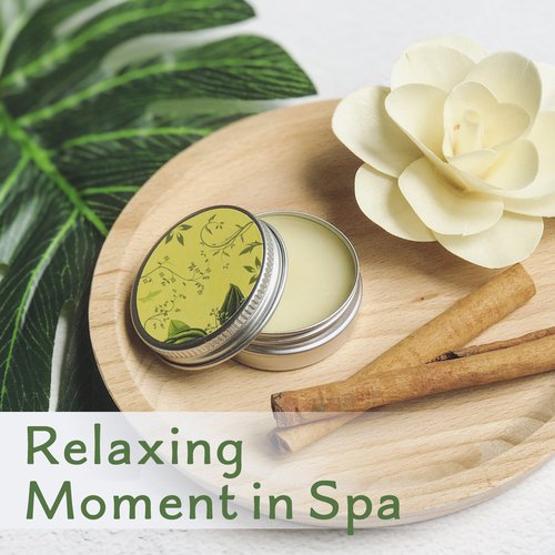 Relaxing Moment in Spa – Deep Relief, Inner Healing, Massage Therapy, Pure Sleep, New Age to Calm Down