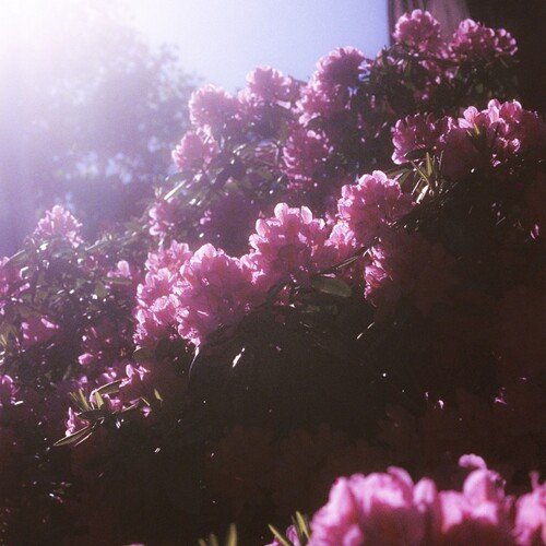 Spring (Løift. Remix) cover art