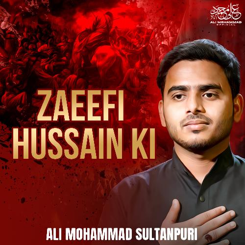 Zaeefi Hussain Ki