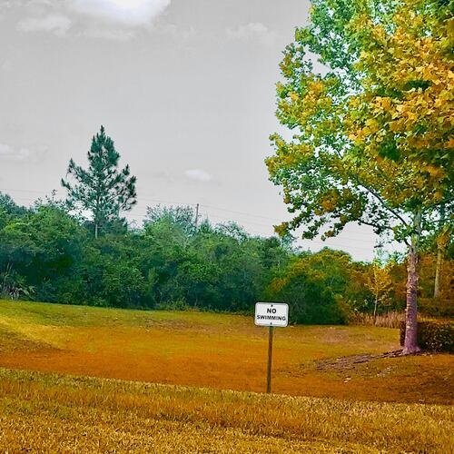 i’ll think about it later