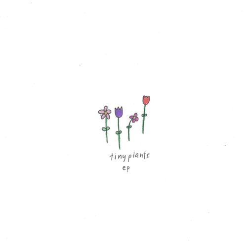 Little Flowery Deaths cover art