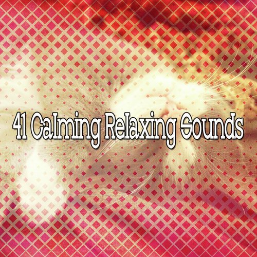 41 Calming Relaxing Sounds