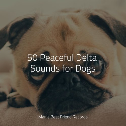 50 Peaceful Delta Sounds for Dogs_poster_image