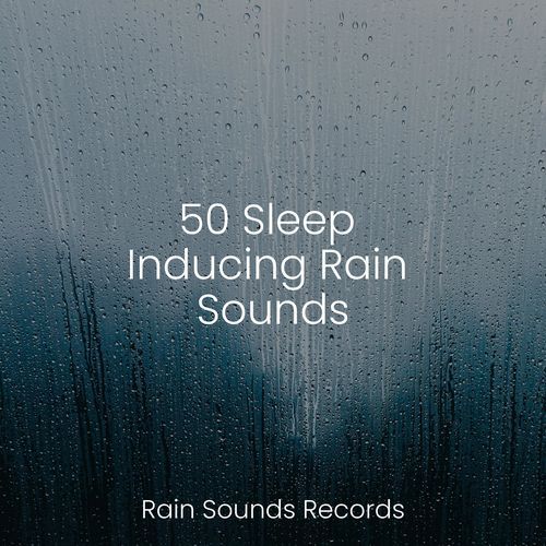 50 Sleep Inducing Rain Sounds