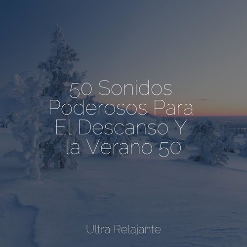 Ecos Celestiales cover art