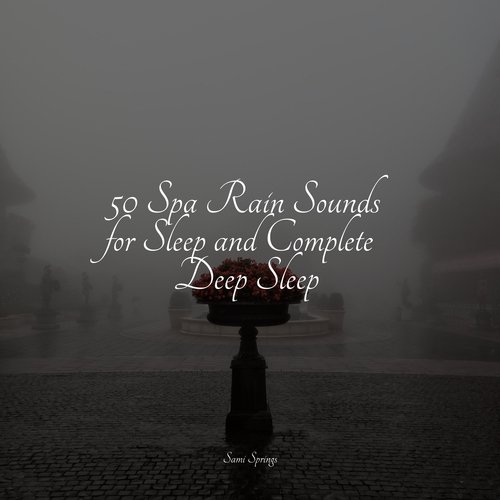 50 Spa Rain Sounds for Sleep and Complete Deep Sleep_poster_image