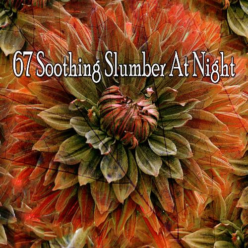 67 Soothing Slumber at Night