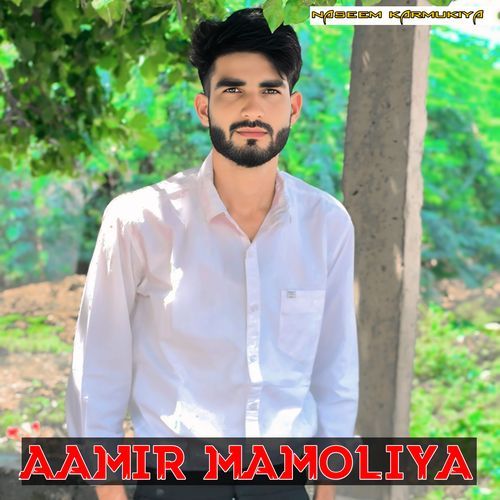 Aamir Mamoliya