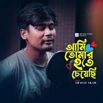 Ami Tomar Hote Ceyechi