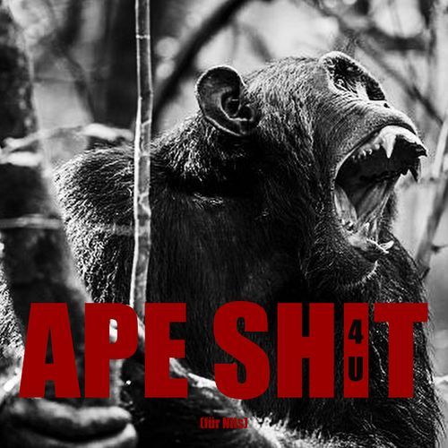 Ape Shit (Für Nils)_poster_image