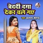 Bedardi Daga Dekar Chale Gaye