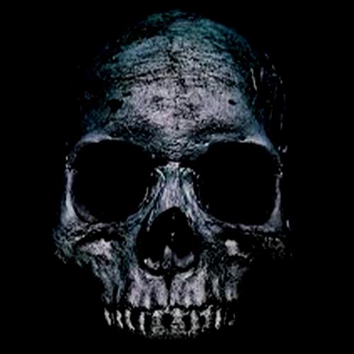 Black Skull_poster_image