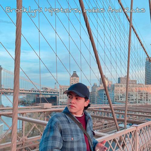 Donnie McFly cover art