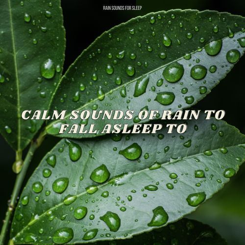 Baby Sleep Rain cover art