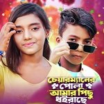 Chairmener Pola amar Picu Doirace