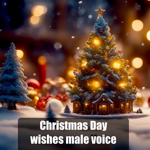 Christmas Day wishes male voice (Happy Christmas)