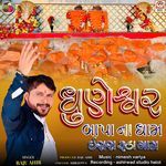 Dhuneshwar Bapa Na  Dham Isra Ruda Gam