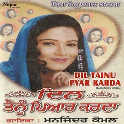 Dil Tainu Pyar Karda