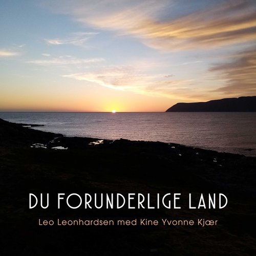Du forunderlige land cover art