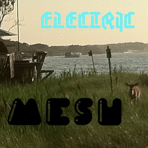 Electric