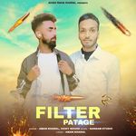 Filter Patage