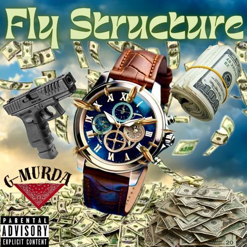 Fly Structure cover art