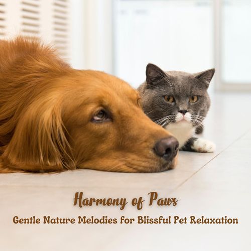 Harmony of Paws: Gentle Nature Melodies for Blissful Pet Relaxation