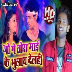 Jo Ge Tora Maai Ke Bhulai Dehali