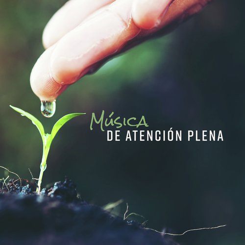 Meditação e Espiritualidade cover art