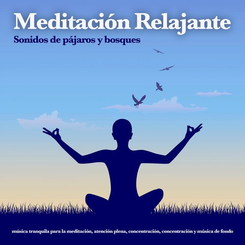Meditaciónessa cover art
