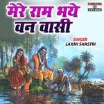 Mere Ram Bhaye Van Vasi
