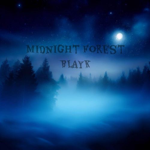 Midnight Forest