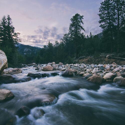 Peaceful River Stream Running Through Switzerland