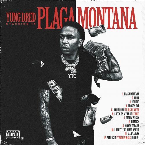 Plaga Montana_poster_image