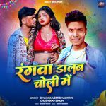 Rangwa Dalab Choli Me