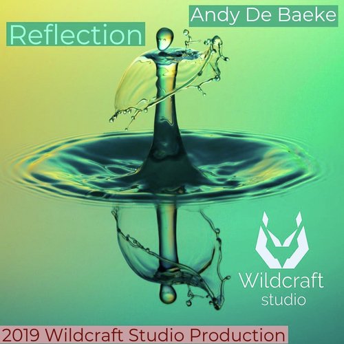 Reflection cover art