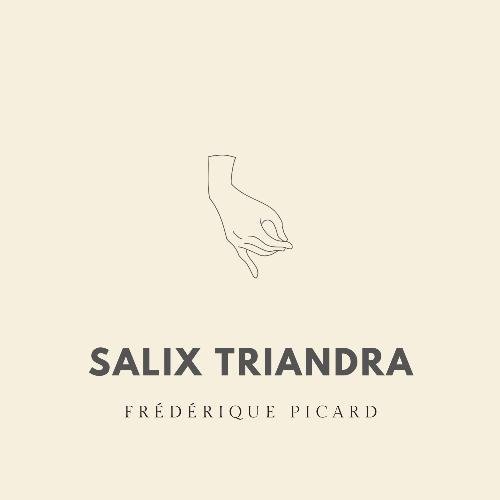 Salix Triandra_poster_image