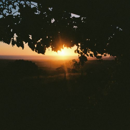 Same Sun