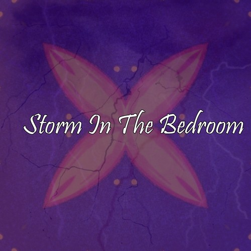 Storm In The Bedroom_poster_image