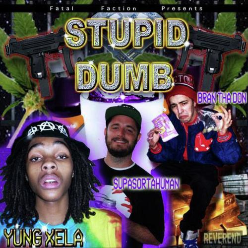Stupid Dumb (feat. Bran Tha Don & SupaSortahuman) cover art
