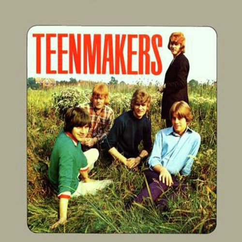 Teenmakers (+ Digitale Bonus Tracks)_poster_image