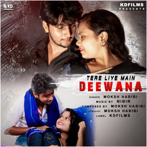 Tere Liye Main Deewana