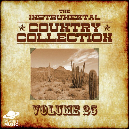 The Instrumental Country Collection, Vol. 25