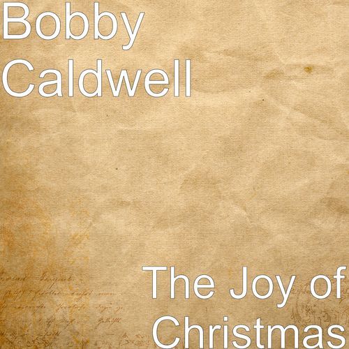 The Joy of Christmas_poster_image