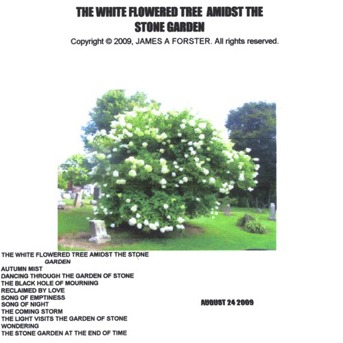 The White Flowered Tree amidst the Stone Garden