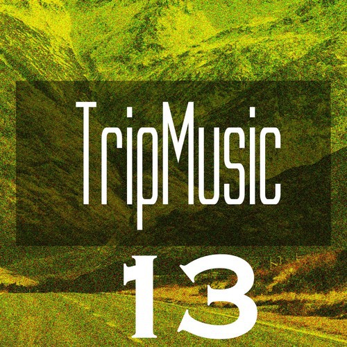 Tripmusic 13