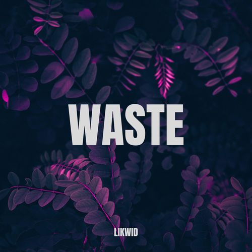 WASTE (DnB) cover art