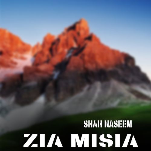 Zia Misia