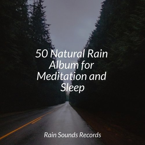 50 Natural Rain Album for Meditation and Sleep_poster_image